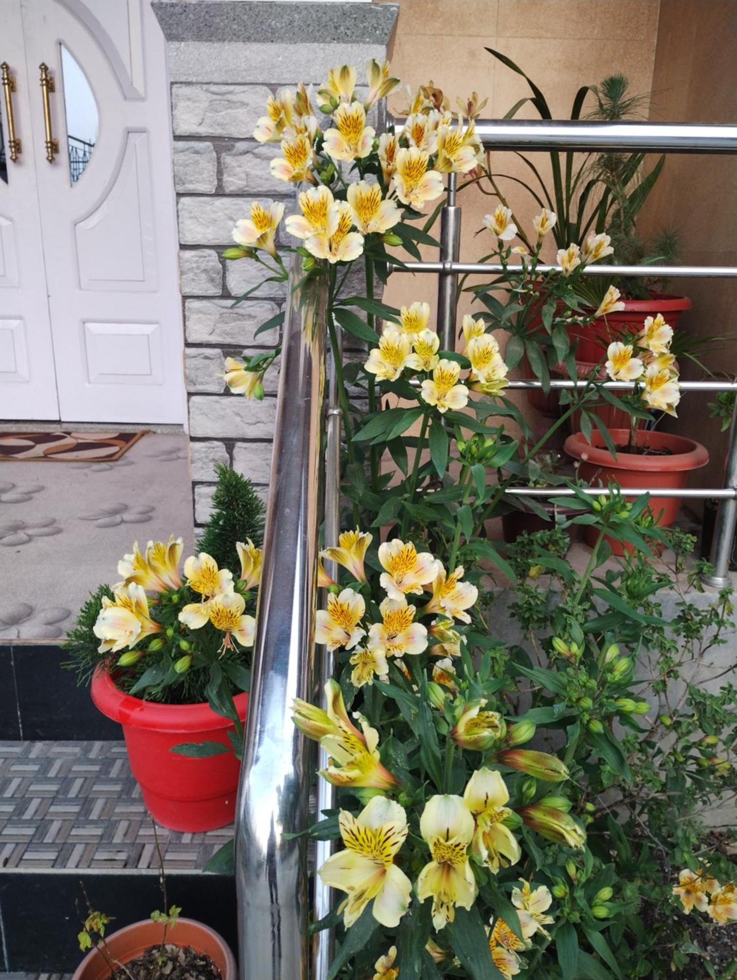 Tranquil Retreat Homestay Ghum Buitenkant foto