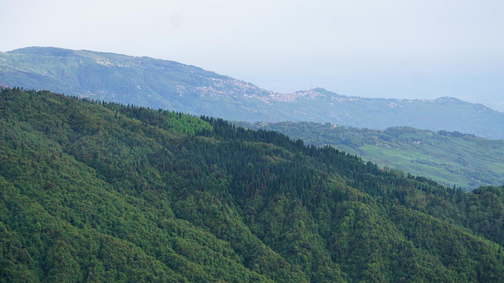 Tranquil Retreat Homestay Ghum Buitenkant foto