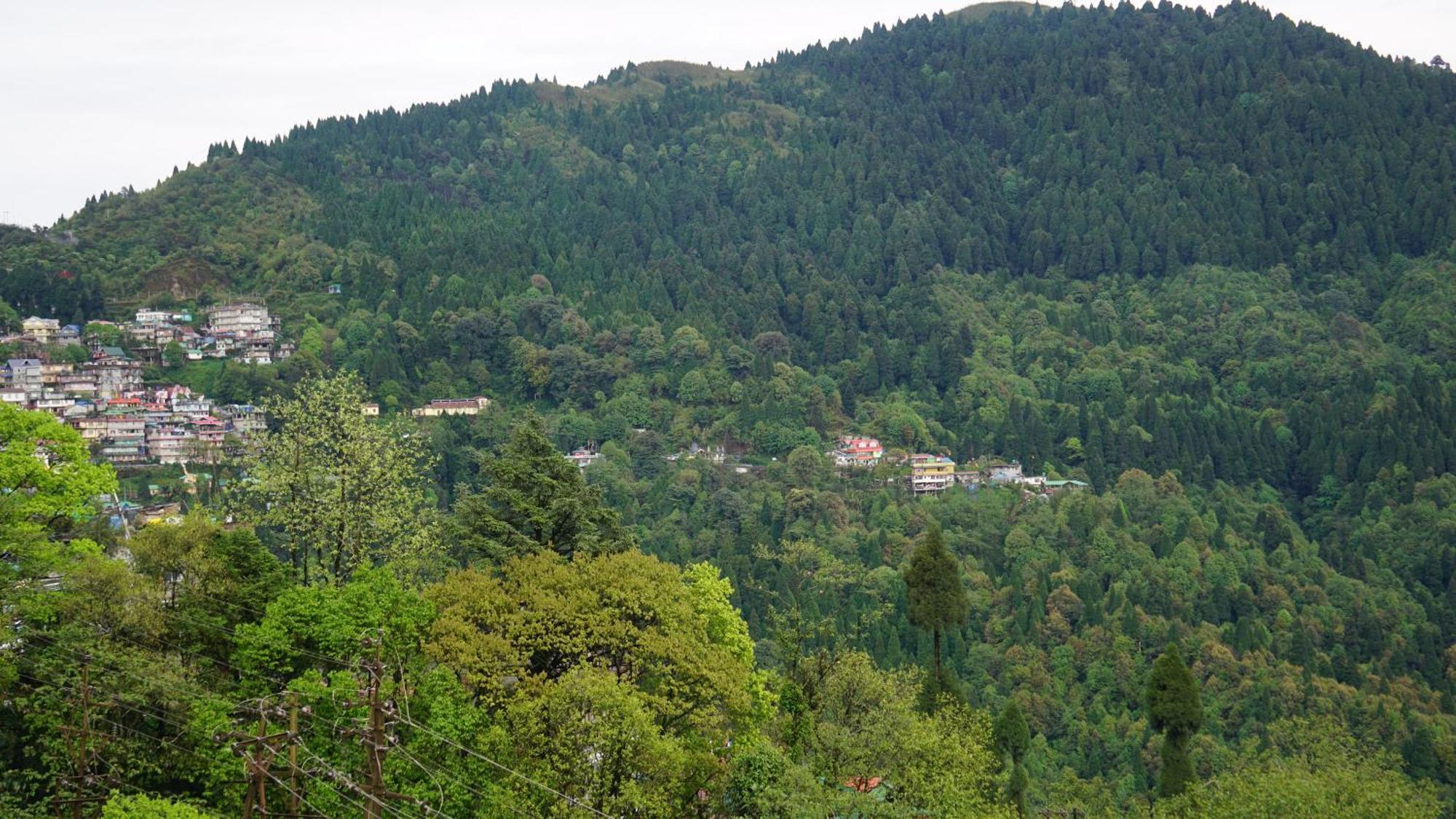 Tranquil Retreat Homestay Ghum Buitenkant foto