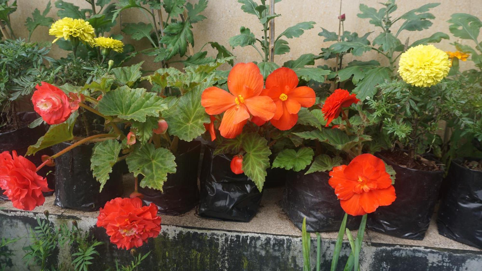 Tranquil Retreat Homestay Ghum Buitenkant foto