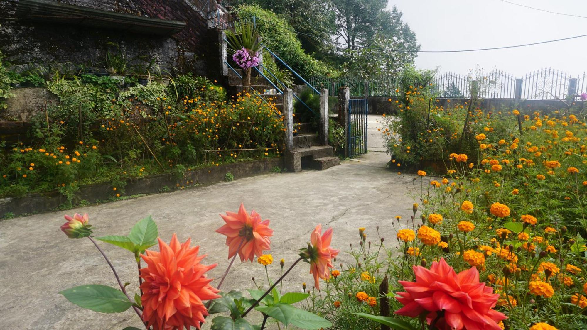 Tranquil Retreat Homestay Ghum Buitenkant foto