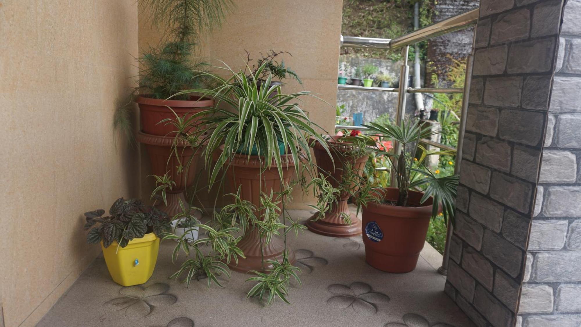 Tranquil Retreat Homestay Ghum Buitenkant foto