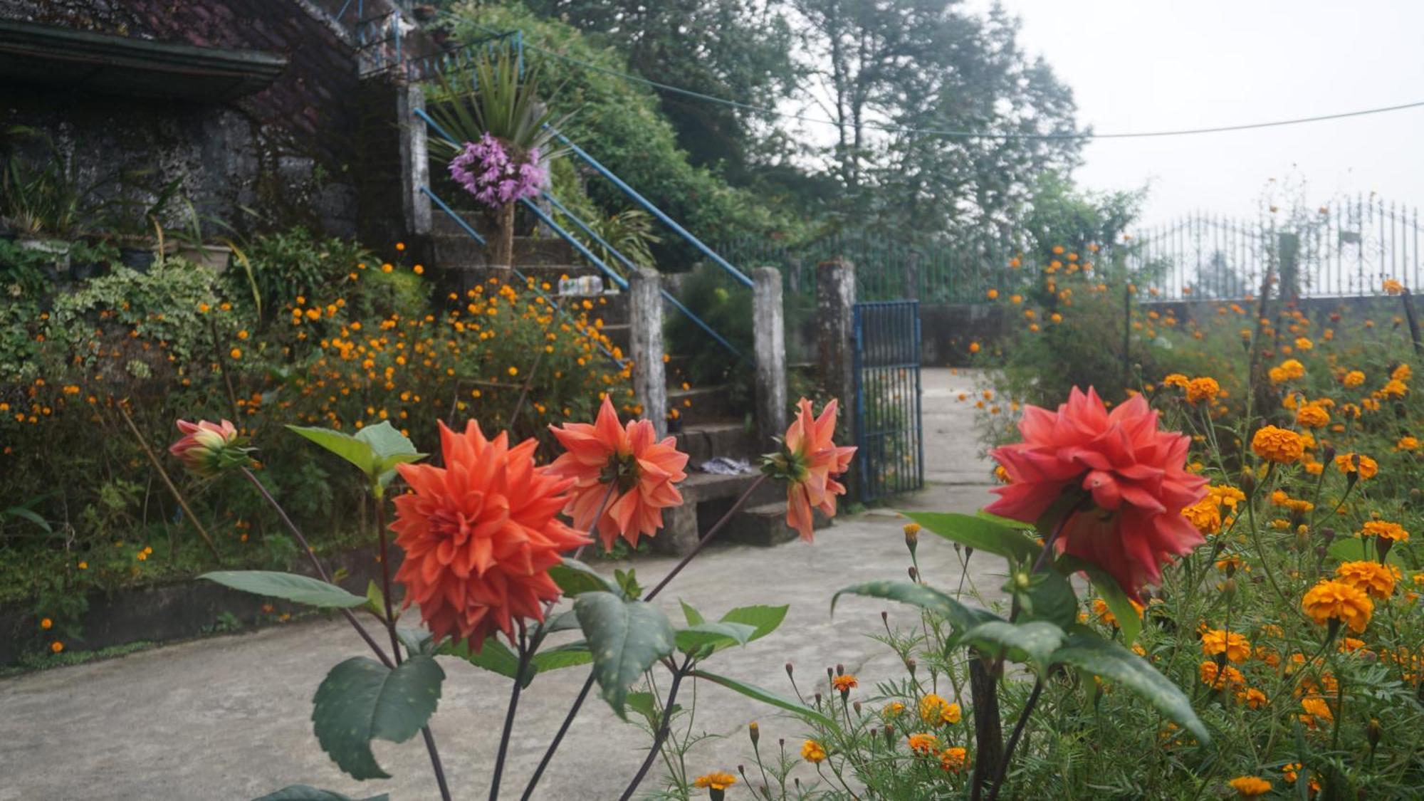 Tranquil Retreat Homestay Ghum Buitenkant foto
